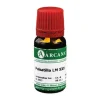 Pulsatilla Arcana LM 30 Dilution, 10 ml