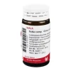 Scilla comp. Globuli, 20 g