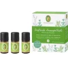Set Duftende Hausapotheke ätherisches Öl, 1 P