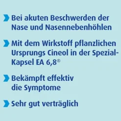 SINOLPAN® FORTE 200 mg Weichkapseln, 50 St