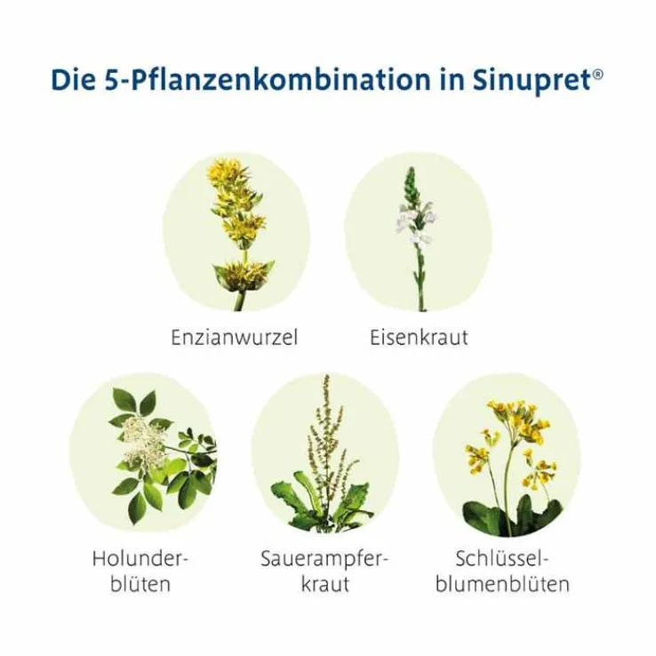Sinupret® überzogene Tabletten, 50 St