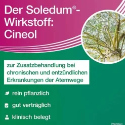 Soledum addicur 200 mg magensaftresistent Weichkapseln, 100 St