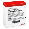 Streptococcus Haemolyticus Injeel Ampullen, 10 St