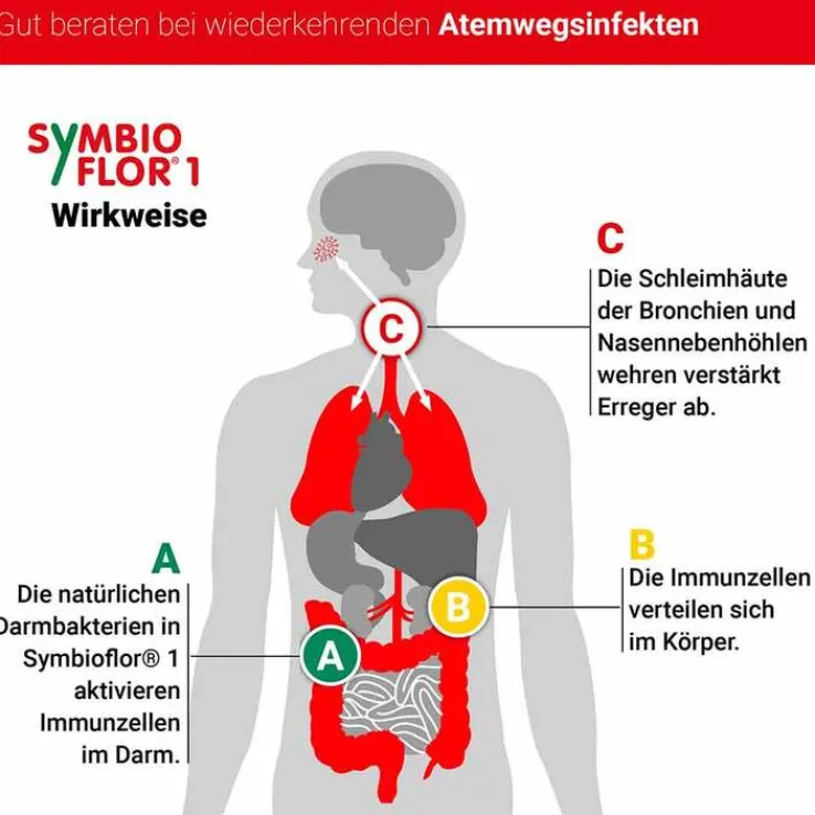 Symbioflor 1 Suspension, 50 ml