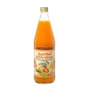 Topvital Kurdrink Möhre-Mango bio Schoenenberger, 750 ml
