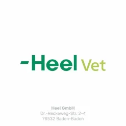 Traumeel LT ad us.vet.Tabletten, 250 St