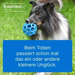 Traumeel LT ad us.vet.Tabletten, 500 St