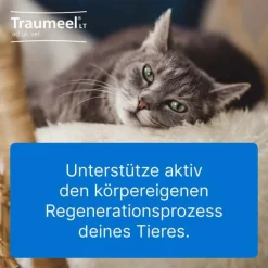 Traumeel LT ad us.vet.Tabletten, 500 St