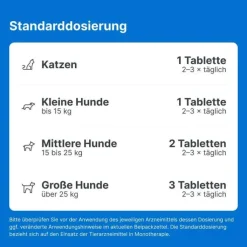 Traumeel LT ad us.vet.Tabletten, 500 St
