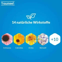 Traumeel® S Creme, 850 g
