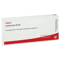 Ventriculus GL D 4 Ampullen, 10X1 ml