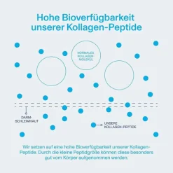 Vital Proteins Collagen Peptides neutral Pulver, 284 g