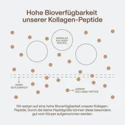 Vital Proteins Collagen Peptides Kakao Pulver, 297 g