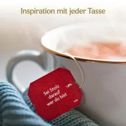 Yogi Tea Ingwer Bio, 17X1.8 g
