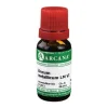Zincum metallicum Arcana LM 6 Dilution, 10 ml
